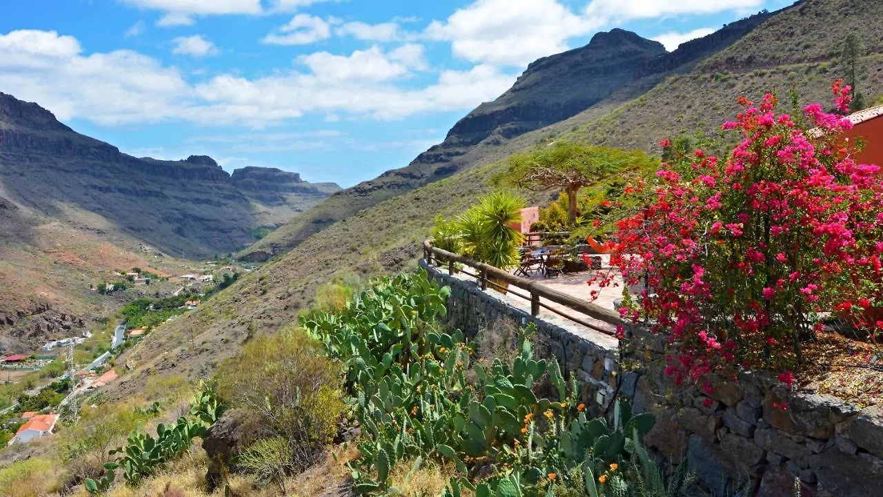 Finca Las Olivas - Unique Country House With Heated Pool Maspalomas  Ferienhaus Maspalomas (Gran Canaria)