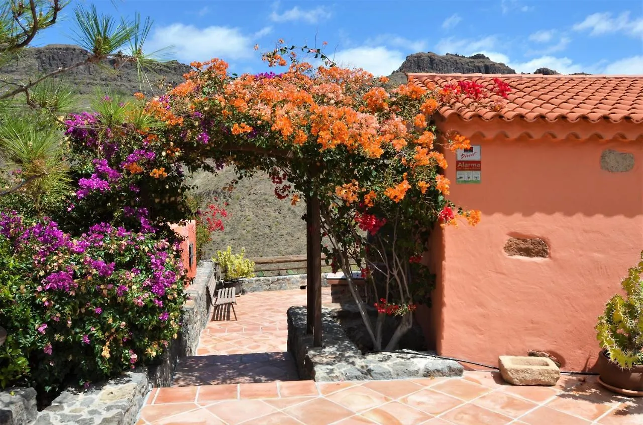 Finca Las Olivas - Unique Country House With Heated Pool Maspalomas