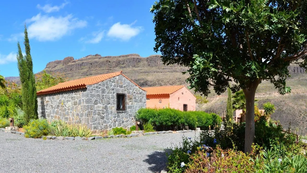 Finca Las Olivas - Unique Country House With Heated Pool Maspalomas  Maspalomas (Gran Canaria)