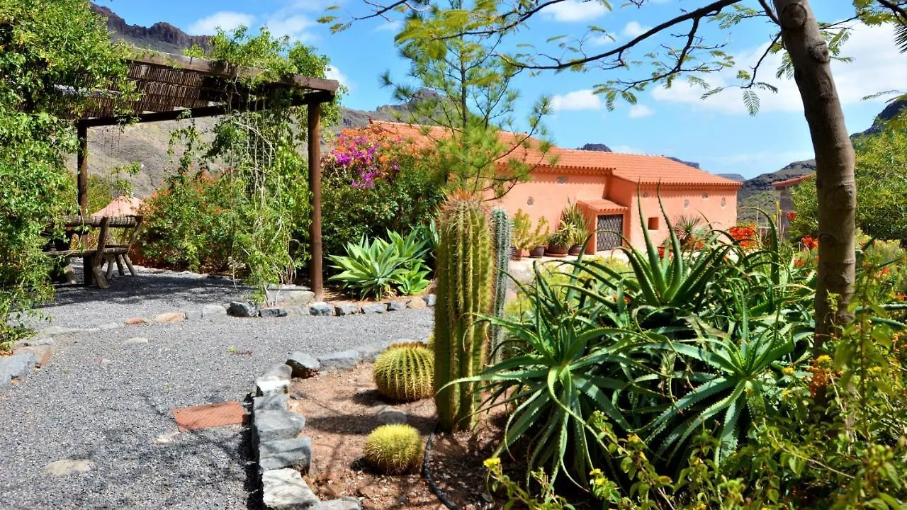 Ferienhaus Finca Las Olivas - Unique Country House With Heated Pool Maspalomas