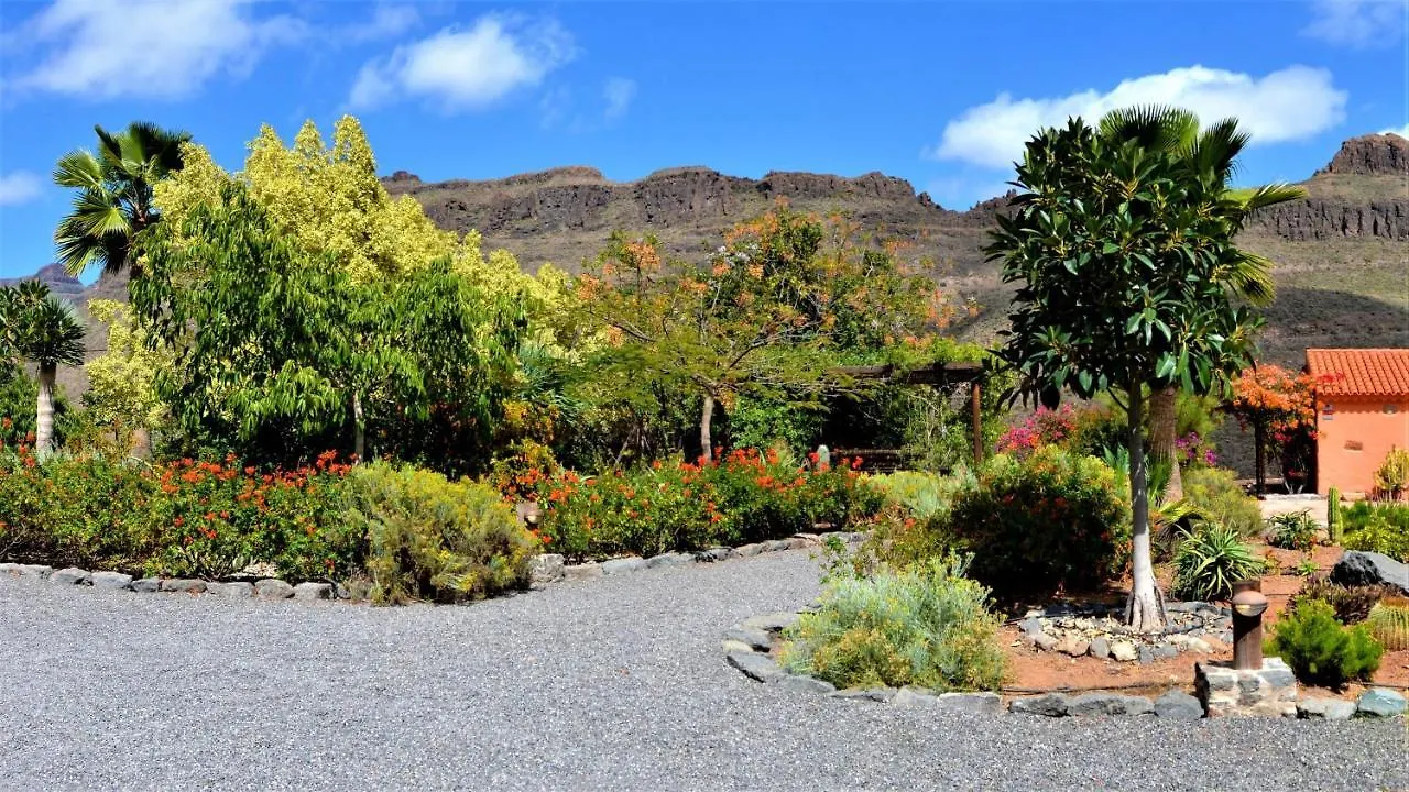 Holiday home Finca Las Olivas - Unique Country House With Heated Pool Maspalomas  Spain